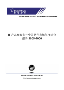 IT产品和服务-中国软件市场年度综合(pdf 23)