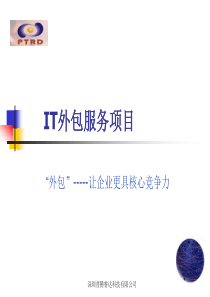 IT外包服务项目