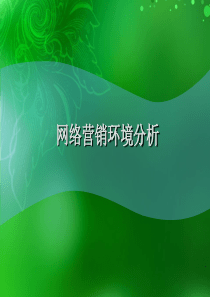 网络营销环境分析（PPT36页)