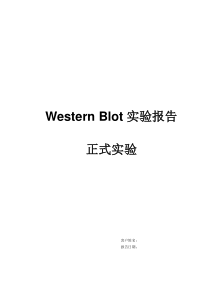 WB技术服务报告模板