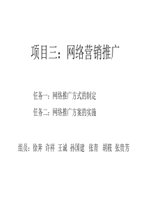 项目三：网络营销推广