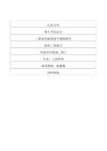 三联家电服务提升策略研究