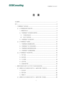 中国IT服务产业白皮书（6thEdition_-Updat