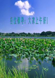 发展现代服务业、提升城市竞争力(吴正海,11月18日上午)