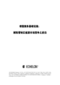 增值服务基础设施解除管制后能源市场竞争之前沿