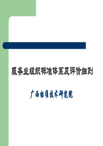 服务业组织标准体系及评审细则