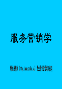 服务产品及品牌策略
