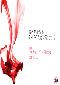 服务基础架构：企业SOA建设务实之道