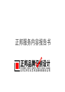 正邦VI服务内容报告书
