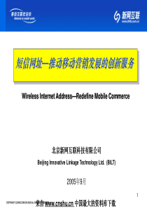 电信行业--短信网址推动移动营销发展的创新服务(PPT 22页)