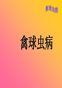 禽球虫病一站式服务