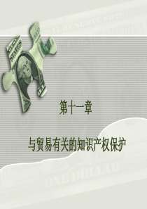 第十一章与贸易有关的知识产权保护和国际服务贸易