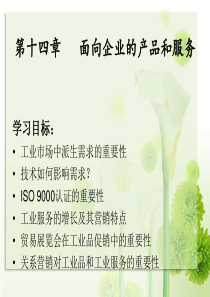 第十四章国际市场营销面向企业的产品和服务