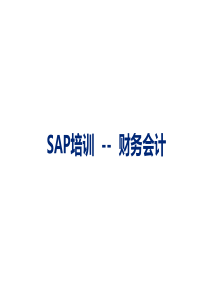 SAP财务会计