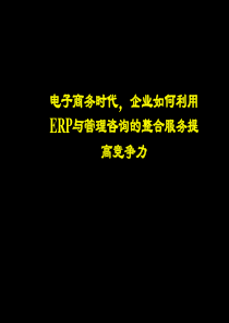 管理咨询和软件整合服务