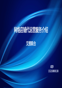 艾搜联合-运营服务商