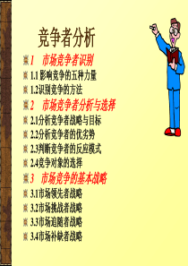 竞争者分析..