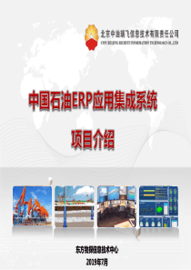 中国石油ERP应用集成系统项目介绍XXXX1220V1