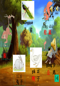 一年级语文《比尾巴》ppt课件75997