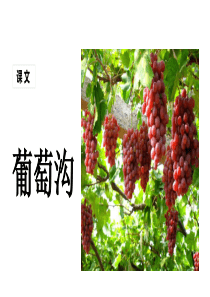 部编版二年级语文上册葡萄沟