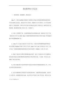重症精神病工作总结