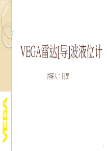 VEGA雷达[导]波液位计