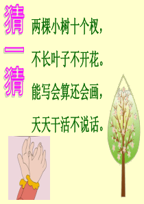 一年级语文上册《画》ppt
