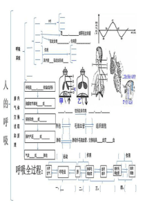 呼吸系统经典试题汇总