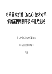 MDA-多重置换扩增技术