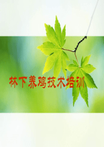 林下养鸡技术培训ppt