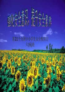 中学生安全教育-PPT课件