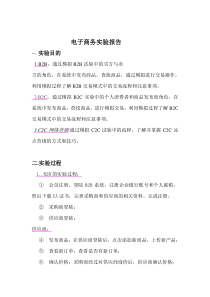 电子商务实验报告