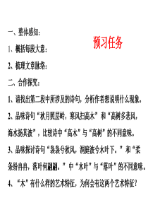 《说木叶》优秀课件