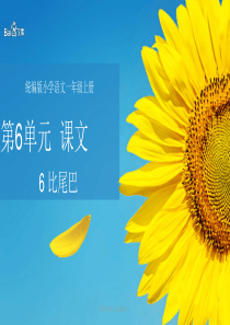 精编人教部编版2019一年级上册语文课件课文6-比尾巴
