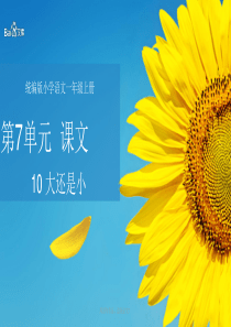 精编人教部编版2019一年级上册语文课件课文10-大还是小
