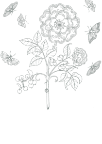 秘密花园花朵涂色模板(清楚)
