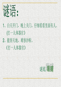 保护眼睛、预防近视ppt课件