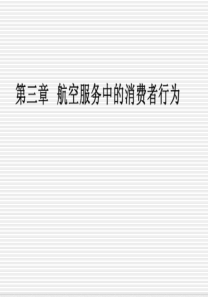 3航空服务中的消费者行为