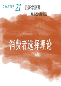 21深入研究的论题_消费者选择理论