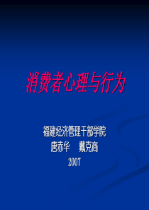 《消费者心理与行为》第5章(购买行为与决策过程)