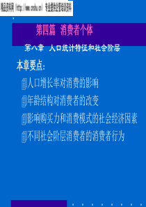 《消费者行为学——个体特征（第十章人口特征和社会阶层）》(1)