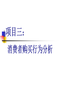 三消费者购买行为分析
