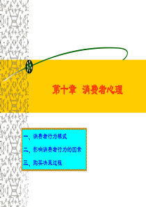 消费者心理（PPT 28页）