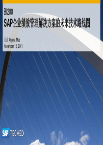 SAP企业绩效管理解决方案的未来技术路线图