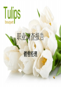 职业招聘信息--销售经理