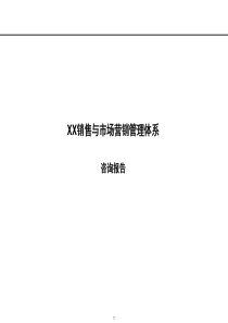 XX销售与市场营销管理体系咨询报告