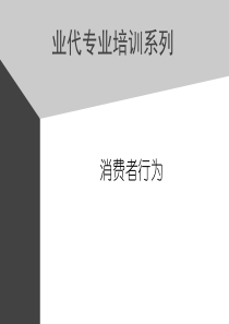 可口可乐公司业代培训之消费者行为