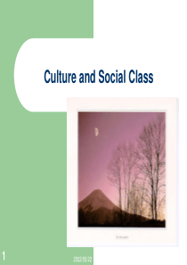 台大消费者行为cb 11 culture and social class