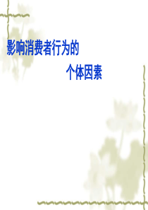 影响消费者行为的因素