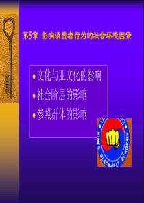 影响消费者行为的社会因素
